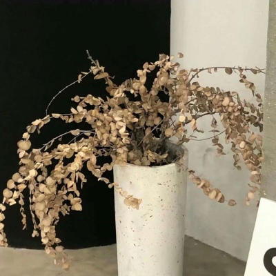 Furry绘画质感技巧福瑞交流群